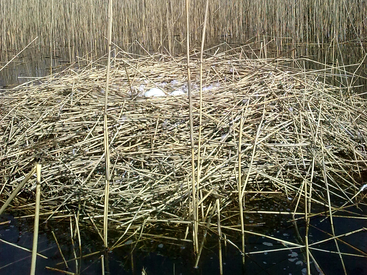 03_Schaalsee_Riek